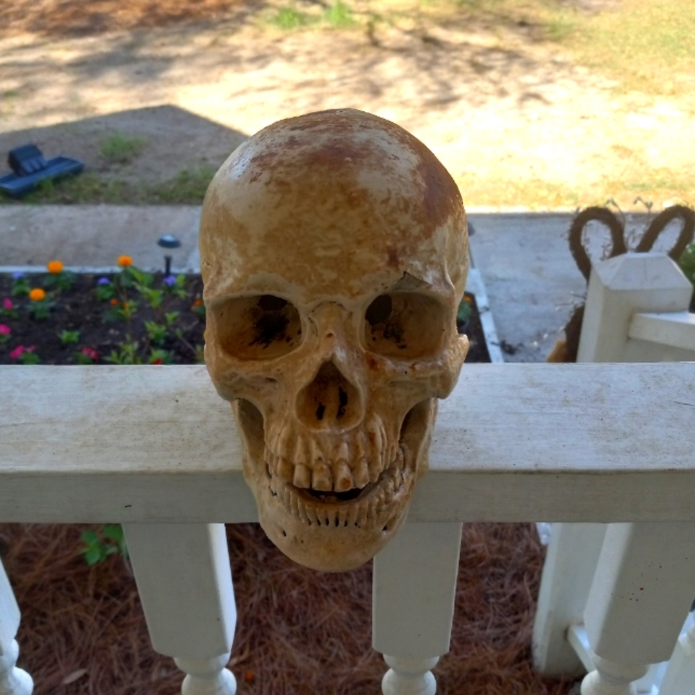 Aquarium Skull Assessory